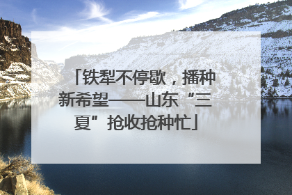 铁犁不停歇，播种新希望——山东“三夏”抢收抢种忙