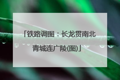 铁路调图：长龙贯南北 青城连广陵(图)
