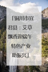 铜川市宜君县：艾草飘香迎端午 特色产业助振兴