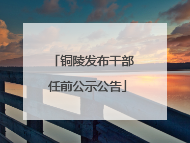 铜陵发布干部任前公示公告