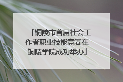 铜陵市首届社会工作者职业技能竞赛在铜陵学院成功举办