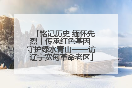 铭记历史 缅怀先烈丨传承红色基因 守护绿水青山——访辽宁宽甸革命老区