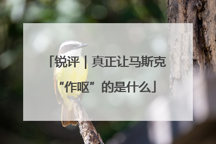 锐评｜真正让马斯克“作呕”的是什么