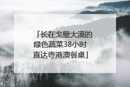 长在戈壁大漠的绿色蔬菜38小时直达粤港澳餐桌