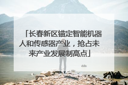 长春新区锚定智能机器人和传感器产业，抢占未来产业发展制高点