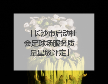 长沙市启动社会足球场服务质量星级评定