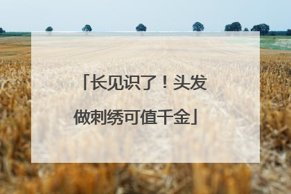 长见识了！头发做刺绣可值千金