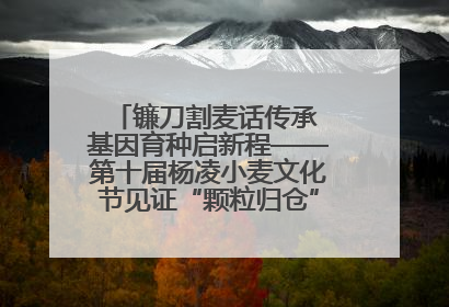 镰刀割麦话传承 基因育种启新程——第十届杨凌小麦文化节见证“颗粒归仓”时空跨越