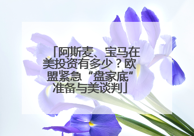 阿斯麦、宝马在美投资有多少？欧盟紧急“盘家底”准备与美谈判