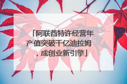 阿联酋特许经营年产值突破千亿迪拉姆，成创业新引擎