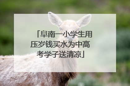 阜南一小学生用压岁钱买水为中高考学子送清凉