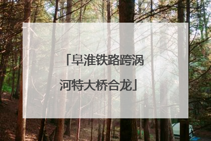 阜淮铁路跨涡河特大桥合龙