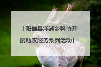 阳信县洋湖乡科协开展助农服务系列活动