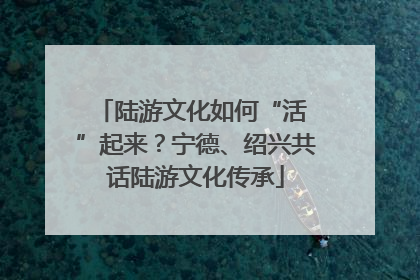陆游文化如何“活 ”起来？宁德、绍兴共话陆游文化传承