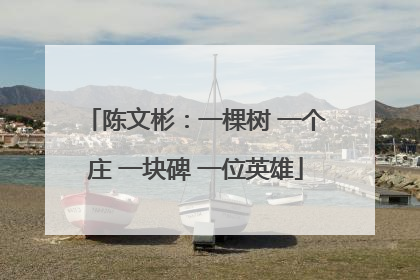 陈文彬：一棵树 一个庄 一块碑 一位英雄