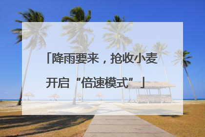 降雨要来，抢收小麦开启“倍速模式”