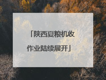 陕西夏粮机收作业陆续展开