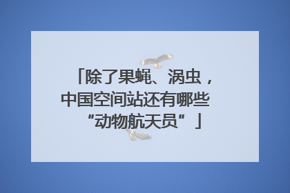 除了果蝇、涡虫，中国空间站还有哪些“动物航天员”