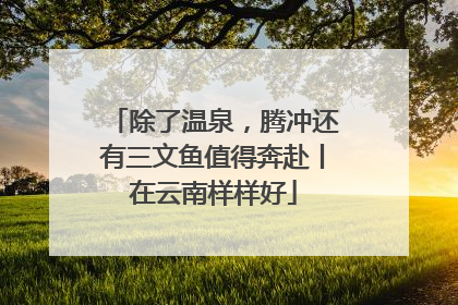 除了温泉，腾冲还有三文鱼值得奔赴丨在云南样样好