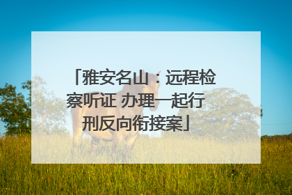 雅安名山：远程检察听证 办理一起行刑反向衔接案