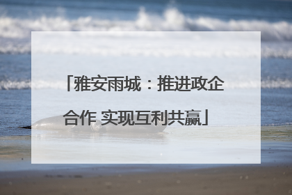 雅安雨城：推进政企合作 实现互利共赢