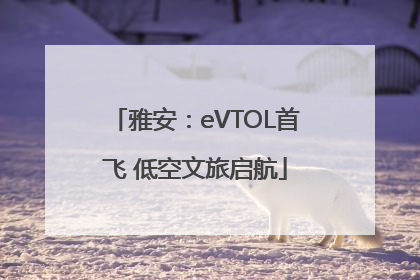 雅安：eVTOL首飞 低空文旅启航