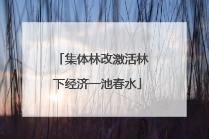 集体林改激活林下经济一池春水