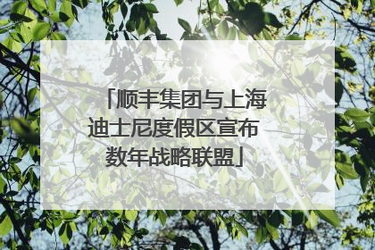 顺丰集团与上海迪士尼度假区宣布数年战略联盟