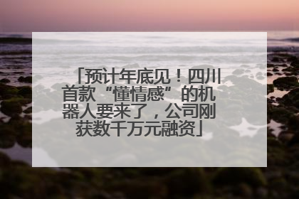 预计年底见！四川首款“懂情感”的机器人要来了，公司刚获数千万元融资
