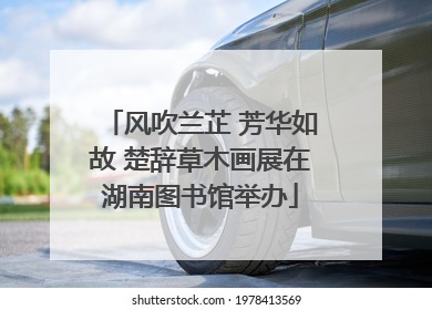 风吹兰芷 芳华如故 楚辞草木画展在湖南图书馆举办