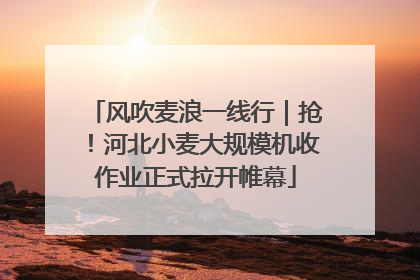 风吹麦浪一线行｜抢！河北小麦大规模机收作业正式拉开帷幕