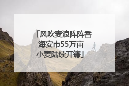 风吹麦浪阵阵香 海安市55万亩小麦陆续开镰