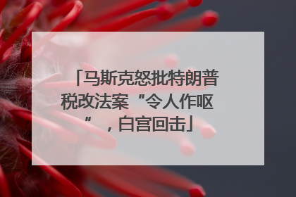 马斯克怒批特朗普税改法案“令人作呕”，白宫回击