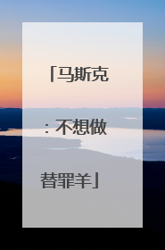 马斯克：不想做替罪羊