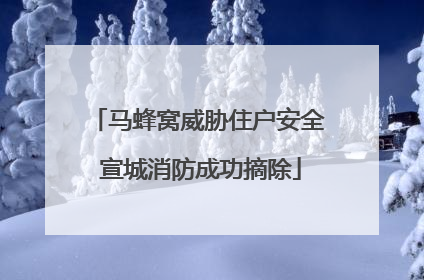 马蜂窝威胁住户安全 宣城消防成功摘除