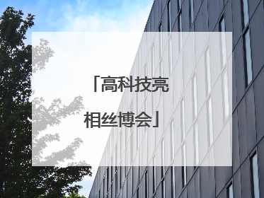 高科技亮相丝博会