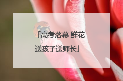 高考落幕 鲜花送孩子送师长