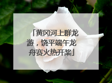 黄冈河上群龙游，饶平端午龙舟赛火热开桨