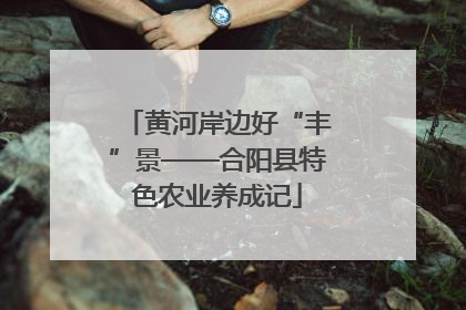 黄河岸边好“丰”景——合阳县特色农业养成记