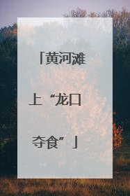 黄河滩上“龙口夺食”