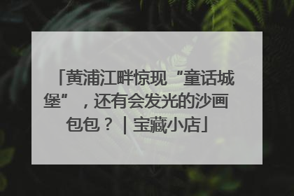 黄浦江畔惊现“童话城堡”，还有会发光的沙画包包？｜宝藏小店