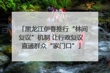 黑龙江伊春推行“林间复议”机制 让行政复议直通群众“家门口”