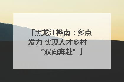黑龙江桦南：多点发力 实现人才乡村“双向奔赴”