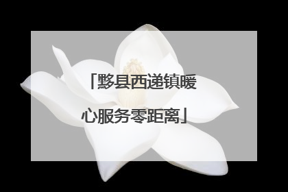 黟县西递镇暖心服务零距离