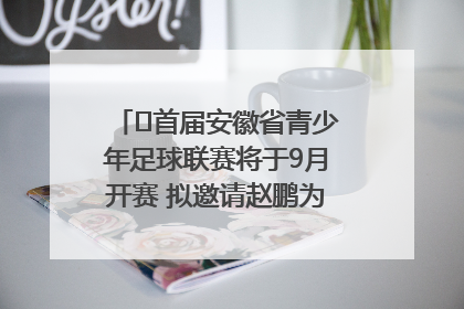 ﻿首届安徽省青少年足球联赛将于9月开赛 拟邀请赵鹏为先导赛开球