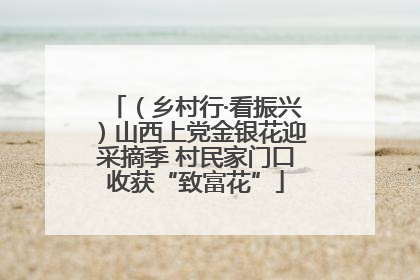 （乡村行·看振兴）山西上党金银花迎采摘季 村民家门口收获“致富花”