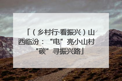 （乡村行·看振兴）山西临汾：“电”亮小山村 “碳”寻振兴路