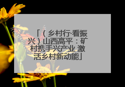 （乡村行·看振兴）山西高平：矿村携手兴产业 激活乡村新动能