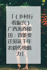 （乡村行·看振兴）广西龙脊梯田：背篓变迁见证千年农耕传统魅力