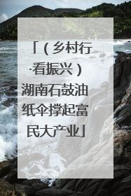 （乡村行·看振兴）湖南石鼓油纸伞撑起富民大产业
